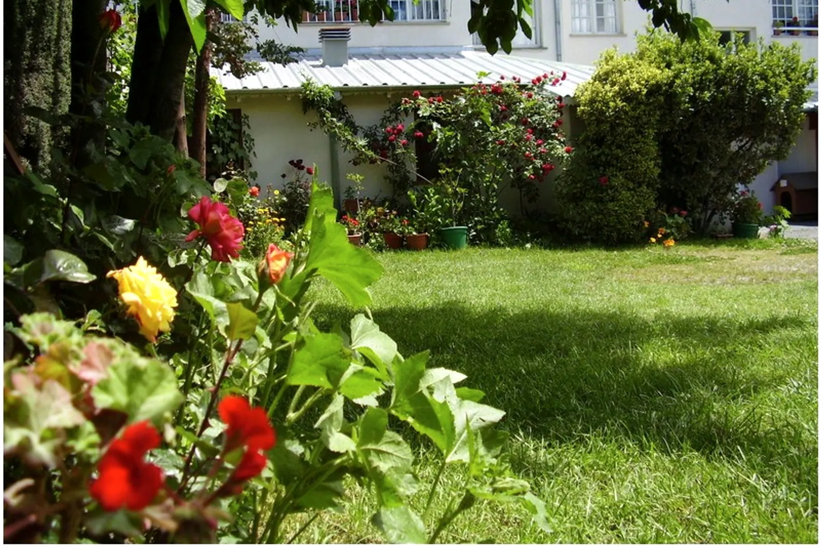 Jardín interno del alojamiento